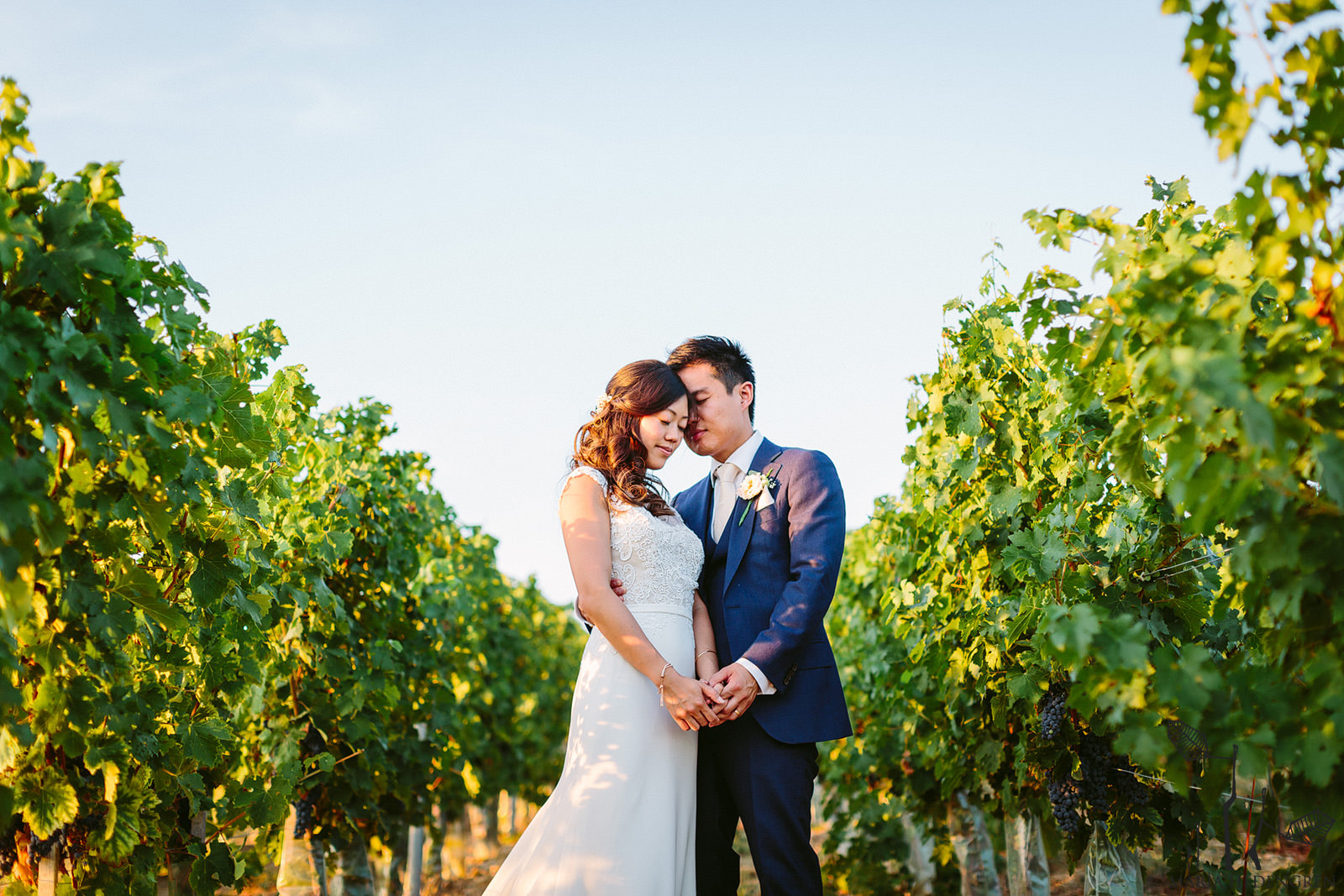 France Vineyard wedding