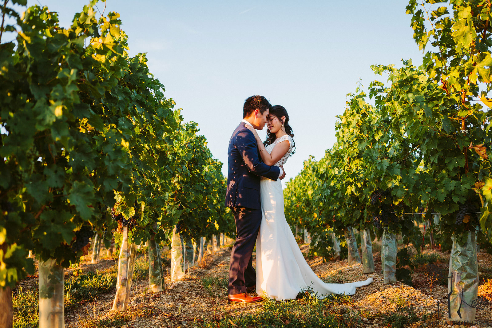 wine valley wedding