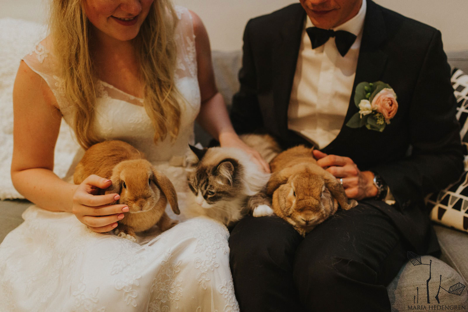 wedding bunnies