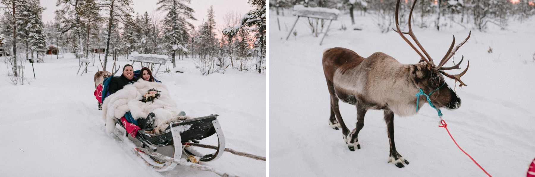 reindeer sleigh wedding