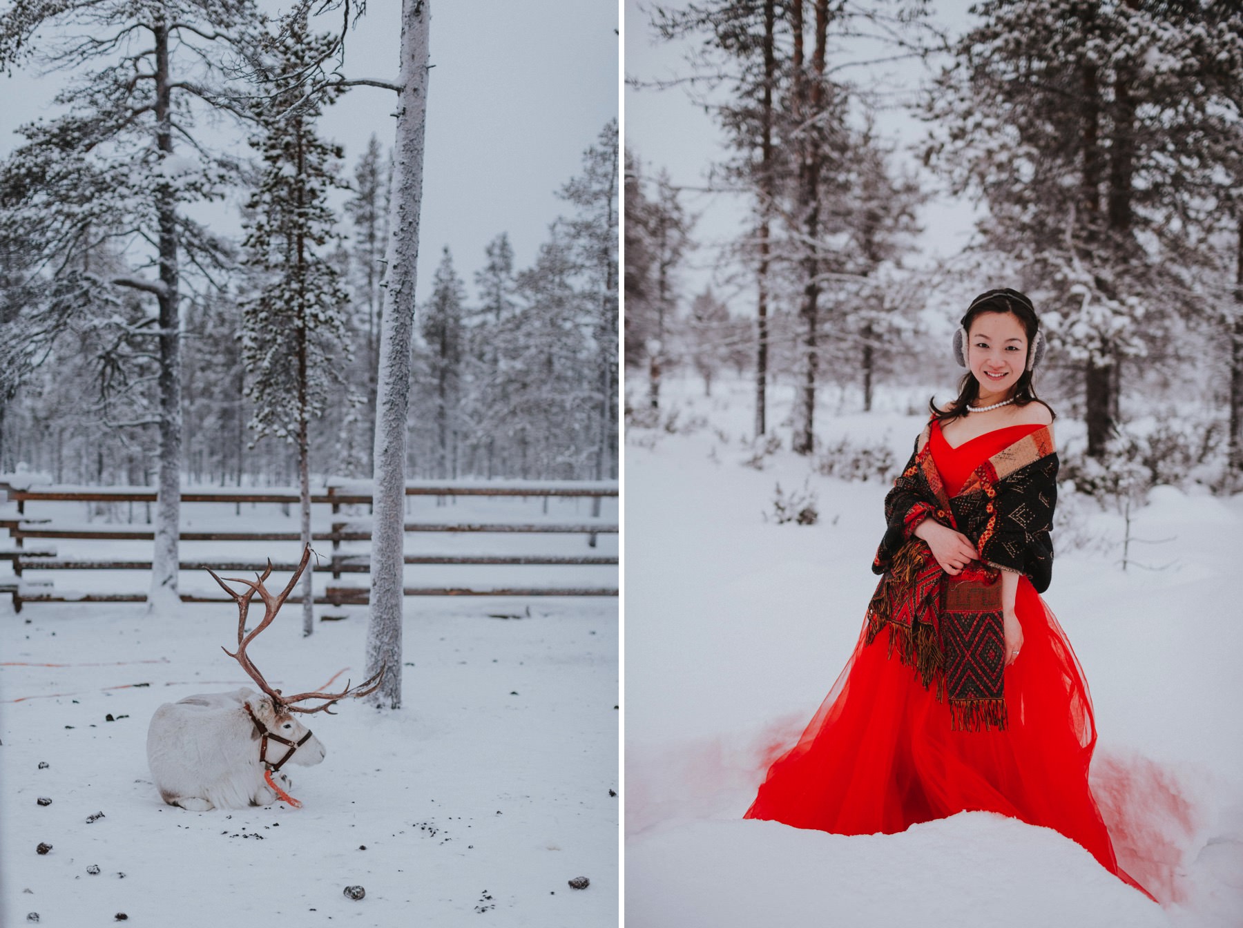  photo shoot with reindeer