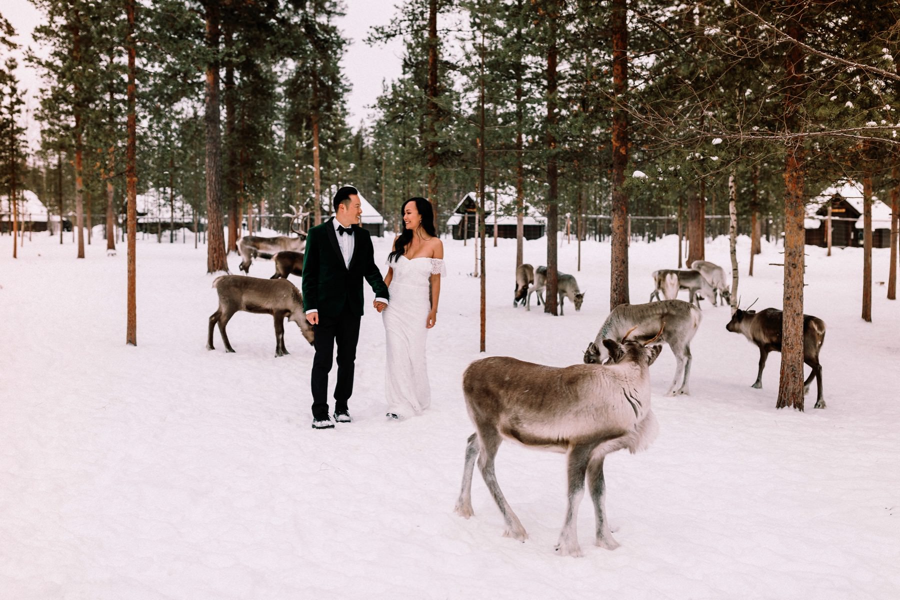 pre wedding session in Lapland