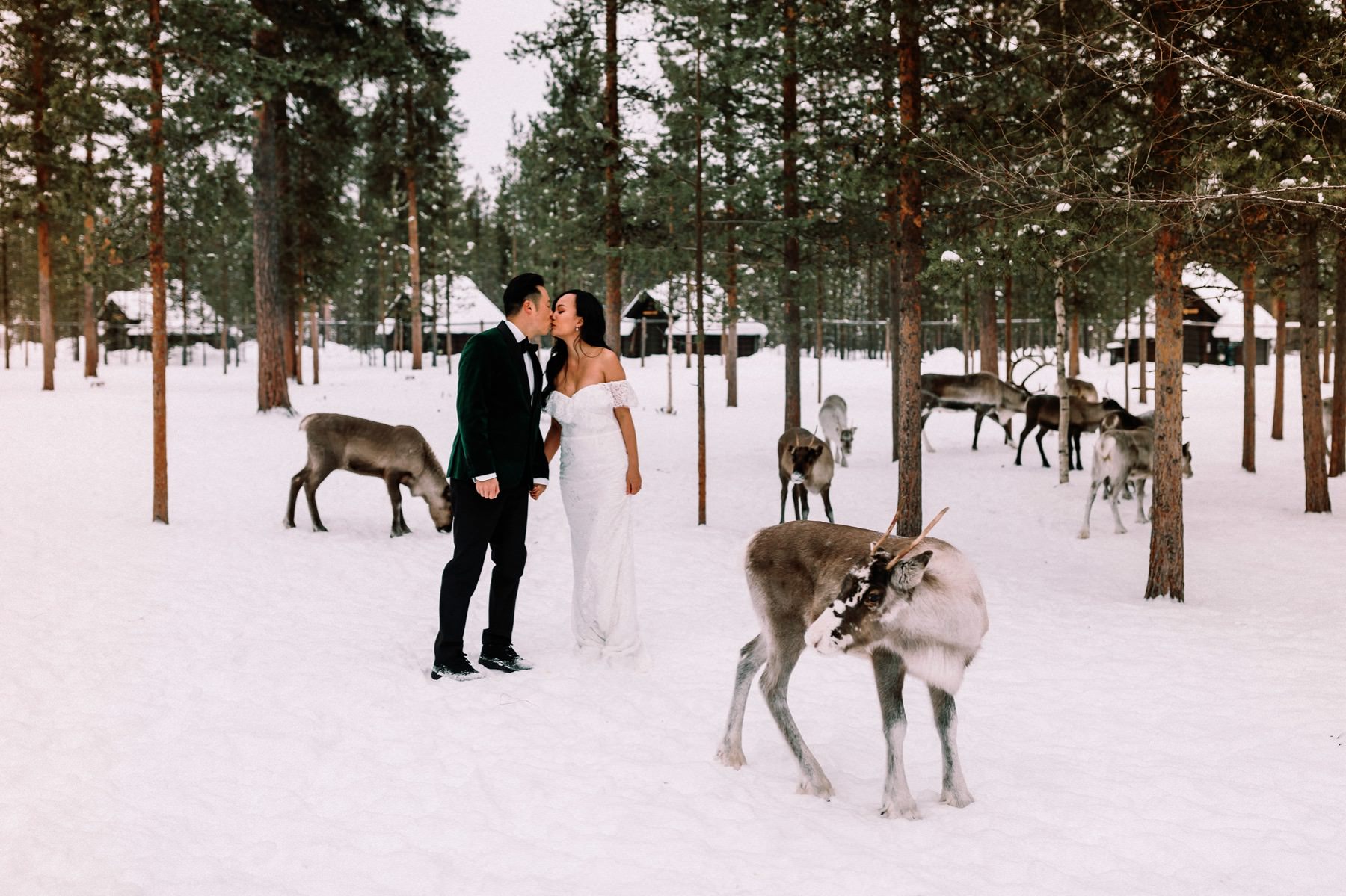 pre wedding with reindeer