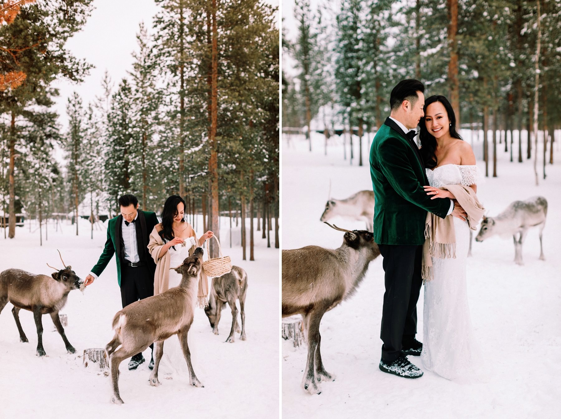 winter wedding elopement ideas
