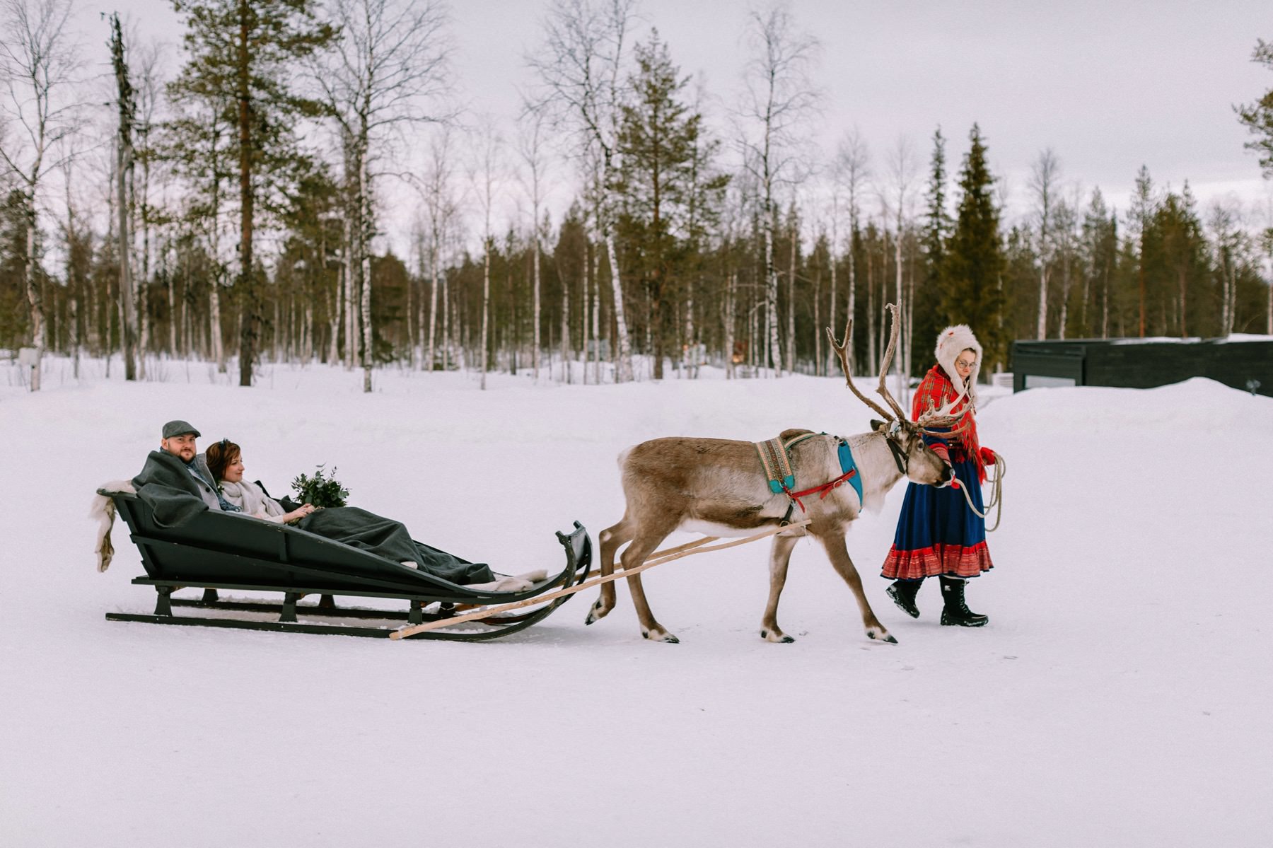 wedding reindeer ride