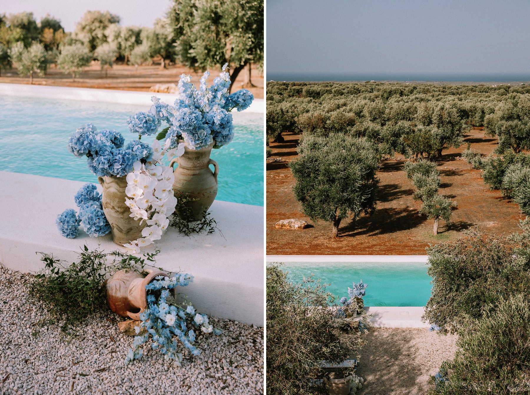 olive tree garden wedding venue italy